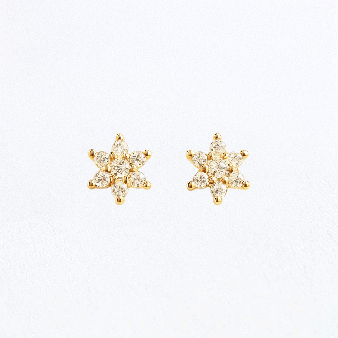 Puces d'Oreilles Stellar - Plaqué Or 18K et Zirconium