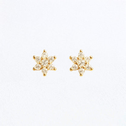 Puces d'Oreilles Stellar - Plaqué Or 18K et Zirconium