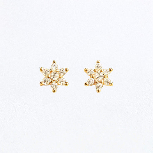Puces d'Oreilles Stellar - Plaqué Or 18K et Zirconium
