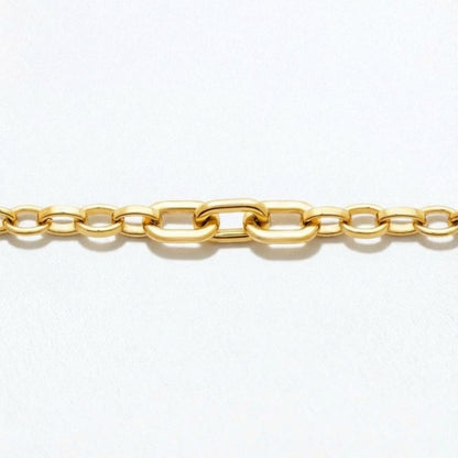 Bracelet chaine acier inoxydable Denise Bellaime 6